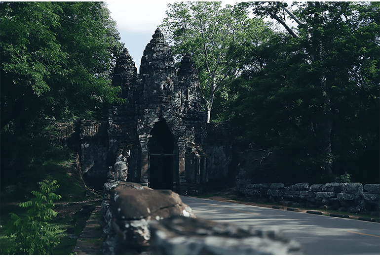 EOS R8 Mark II sample 35mm f/2 1/2000 ISO100