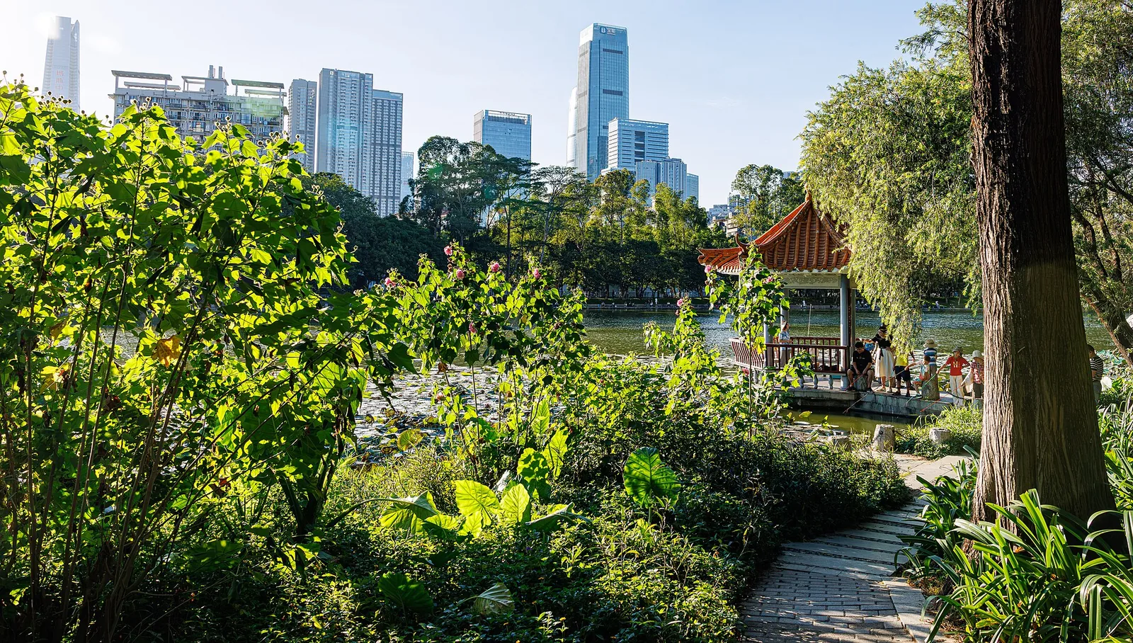 Another view of Honghu Park, Shenzhen