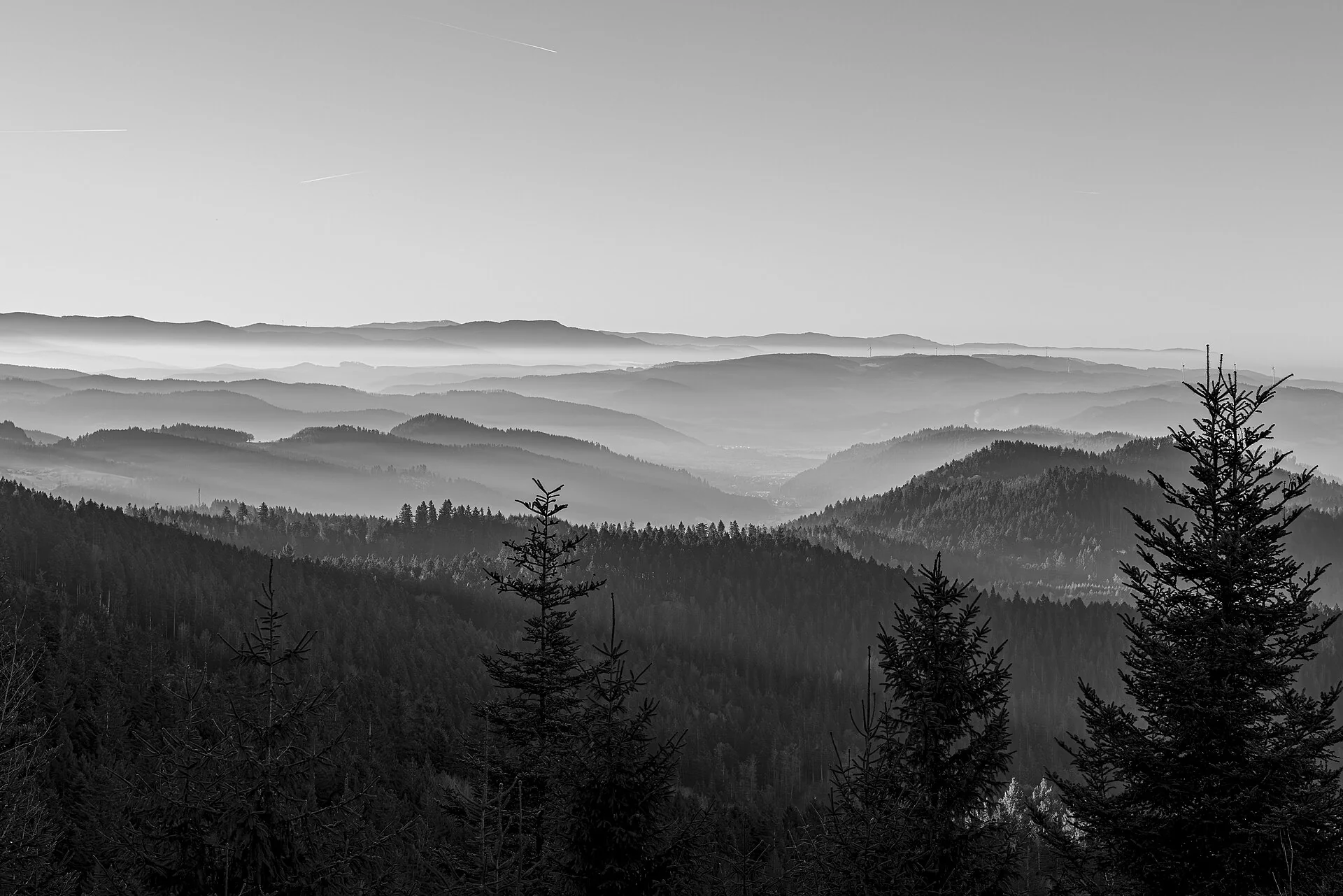 Sample photo 3 of 4 taken with the Canon EOS R5 Mark II