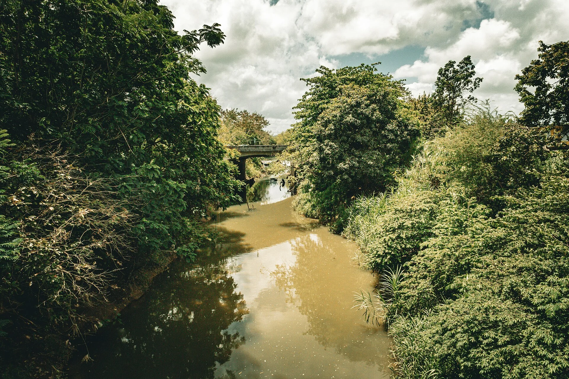 Sample photo 2 of 6 taken with the Canon EOS RP