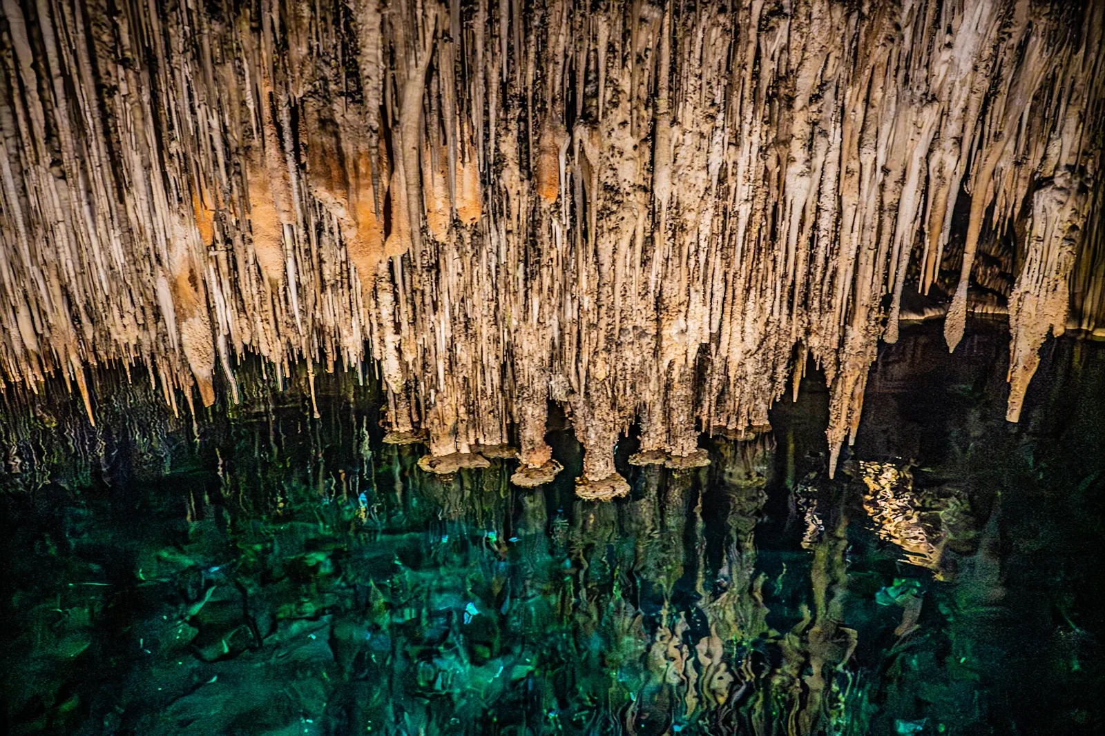 Stalactites reflected in a cenote