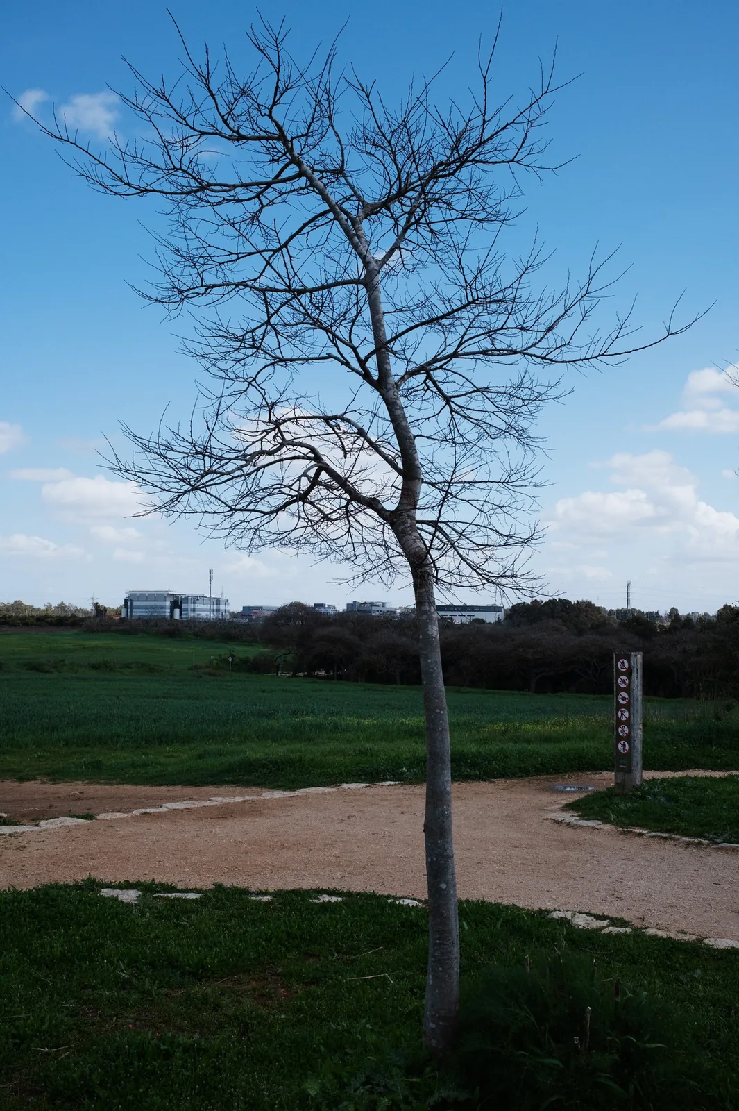 Sample photo 7 of 8 taken with the Fujifilm X100VI