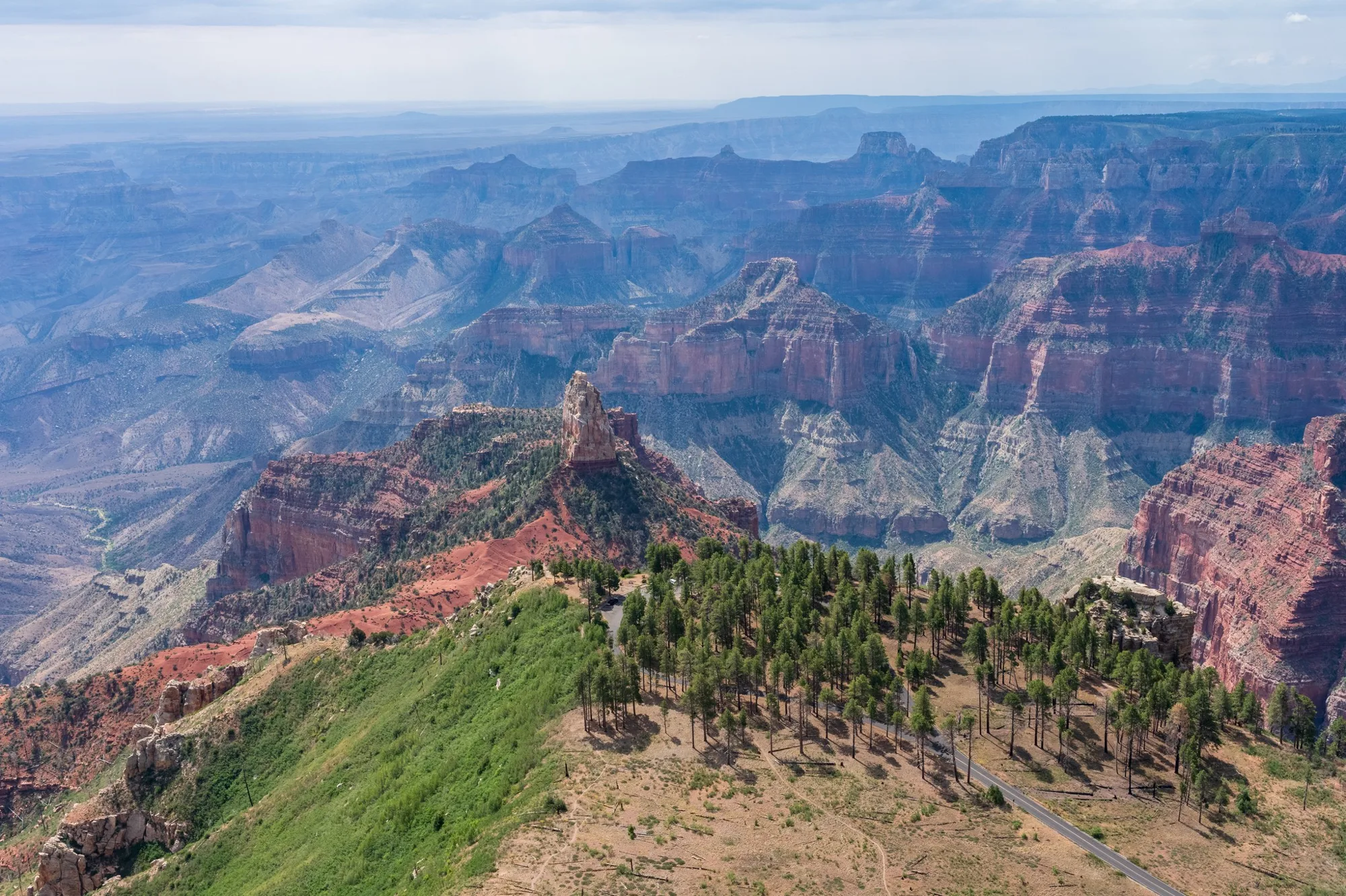 Layered red canyon walls and peaks seen from a green rim