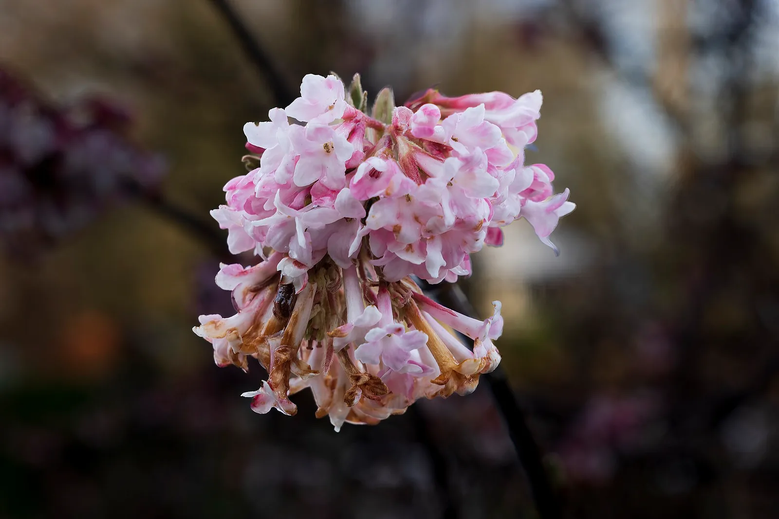 Sample photo 7 of 8 taken with the Sony a6400