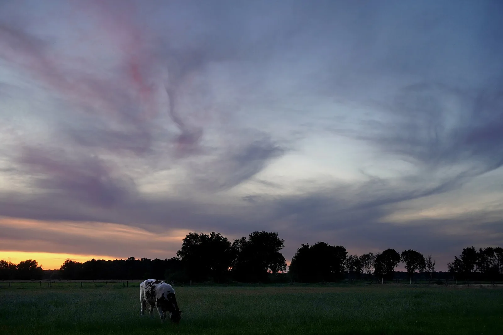 Sample photo 4 of 8 taken with the Sony a6100