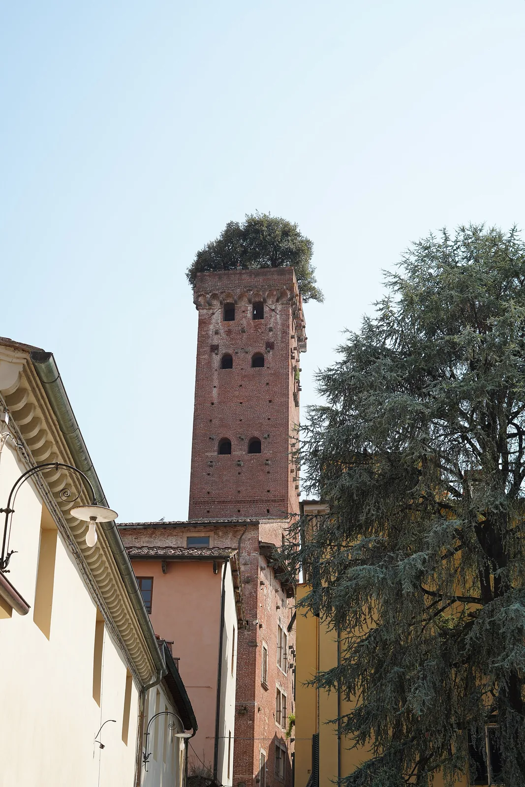 Torre Guinigi in Lucca