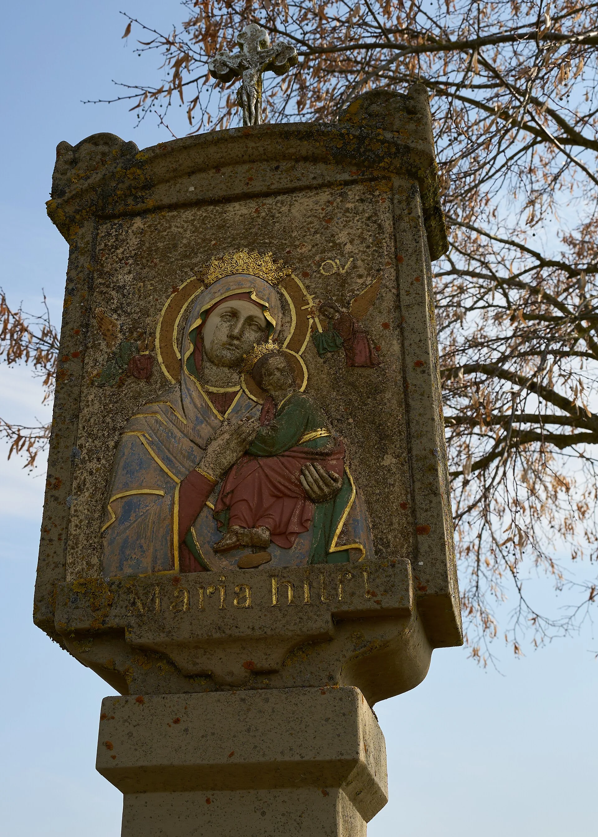 Sample photo 3 of 5 taken with the Sony a7 V